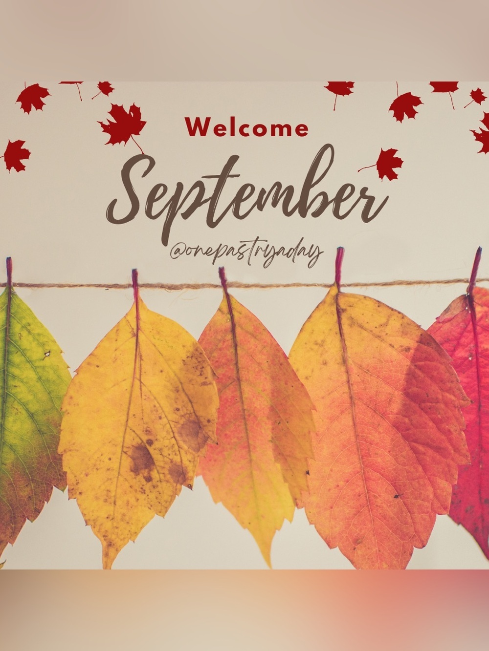 Welcome + Hello September! 🍩☕️🍂🍁